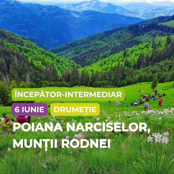 drumetie, poiana narciselor, rodnei