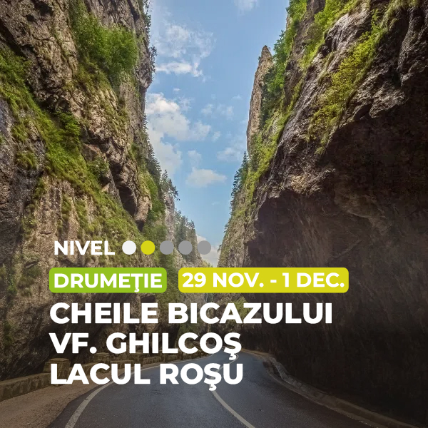 cheile bicazului 1x1 cover 100
